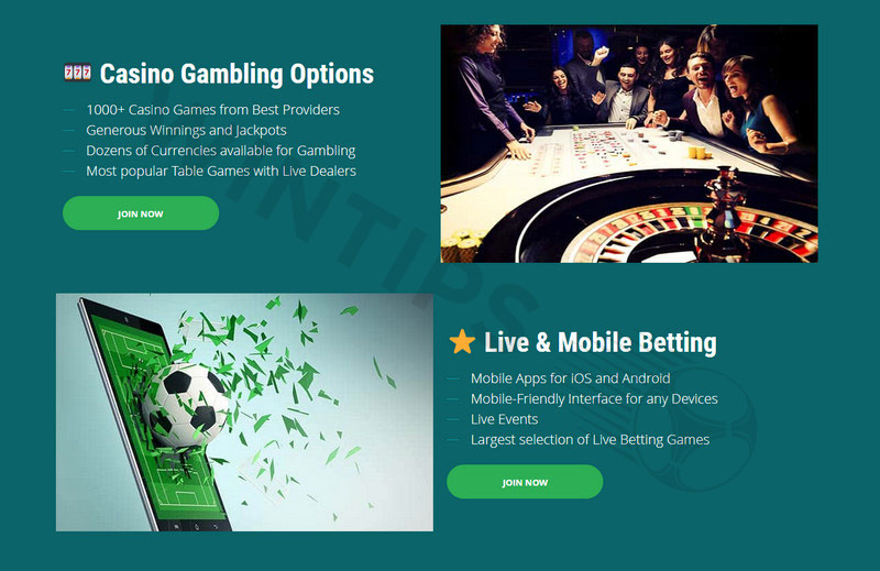 22Bet's services are highly regarded