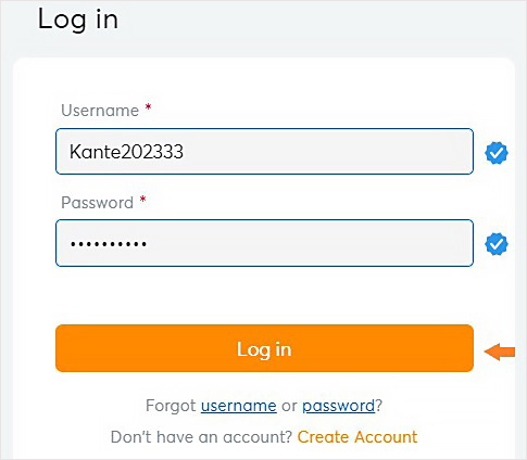 Fill in the account information registered with BK8