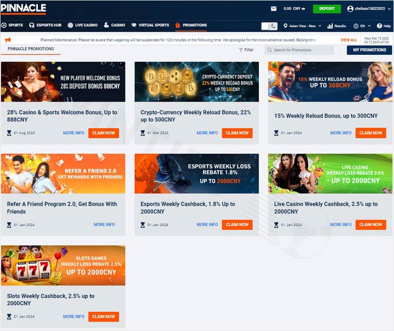 PINNACLE bookmaker offers attractive first deposit promotion