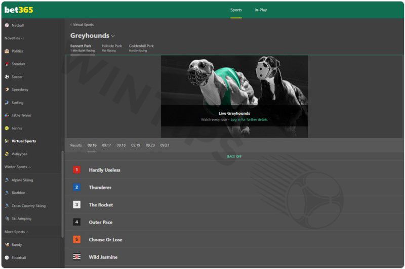 BET365 is the first choice when participating in virtual greyhound racing