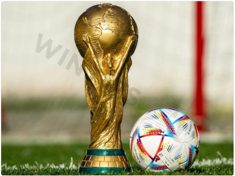 Learn about countries that have hosted the World Cup throughout history