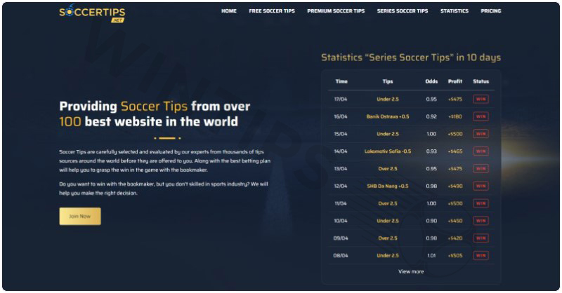 Soccertips.net - Top Betting tips sites