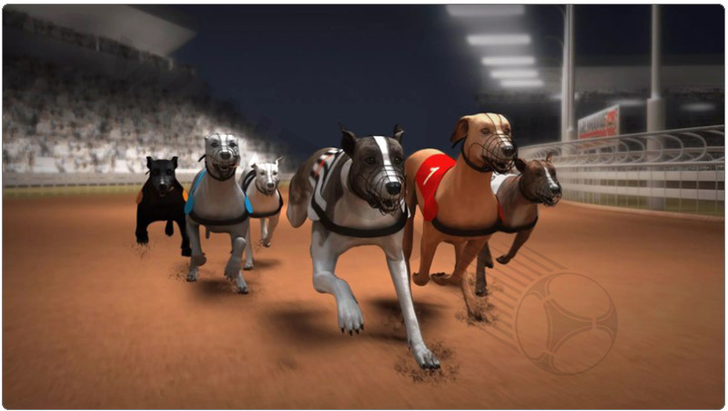 12Bet - Greyhounds betting sites with competitive odds