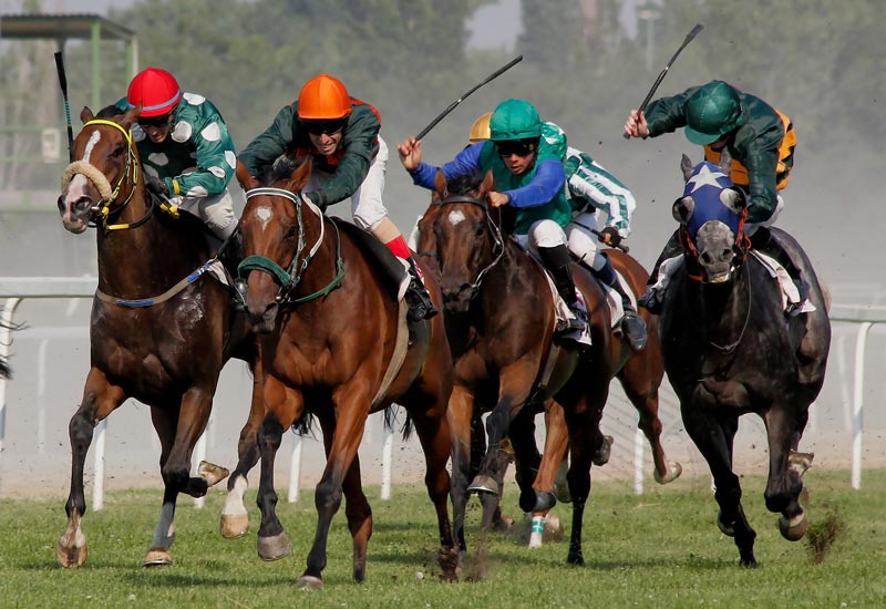 The rules of horse racing betting need to be mastered