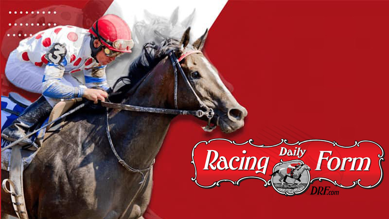 Referring to horse racing betting is a must-mention DRF