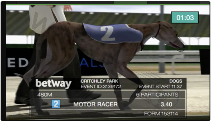 Betway - Top notch betting on greyhound racing site