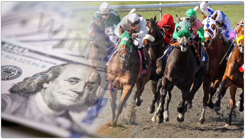 Detailed Online Horse Racing Rules for Beginners