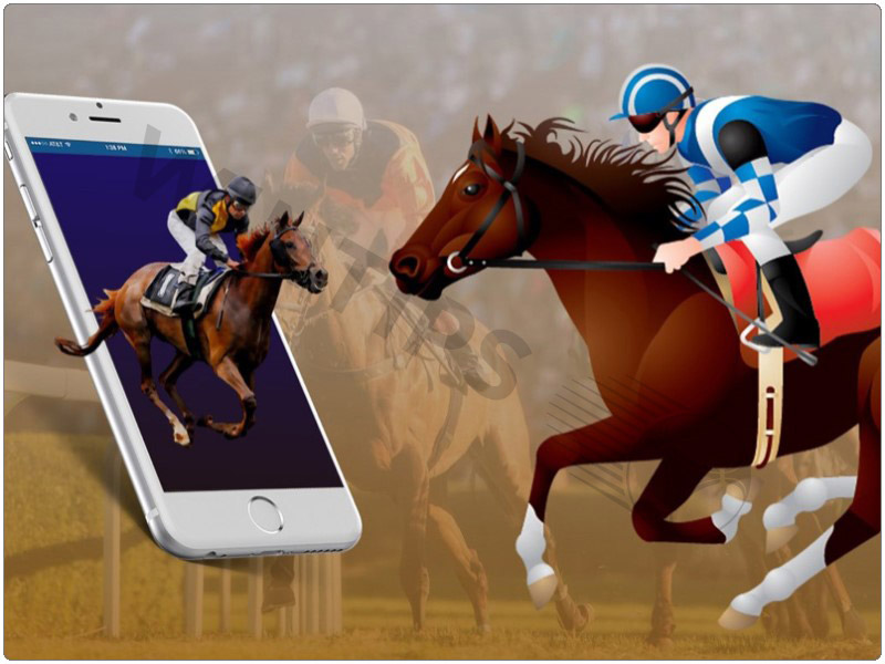 How to bet on horse racing for beginners