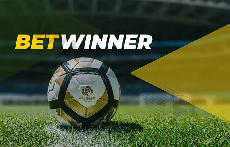 Betwinner bookmaker supports customers at all times