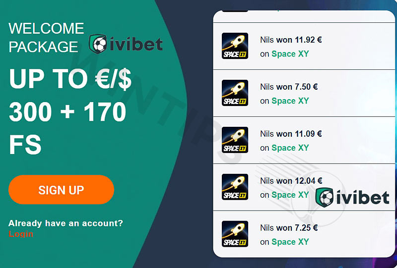 The iViBet bookmaker interface is priced very high