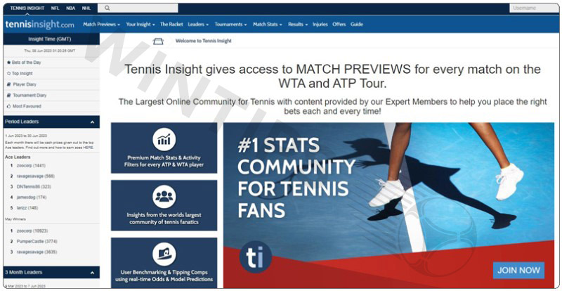 TennisInsight - Best tennis predictions website not to be missed