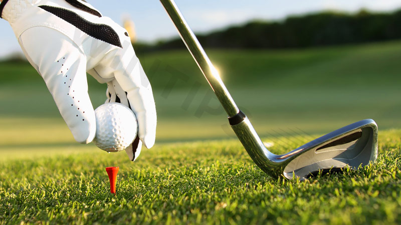 Golf betting guide for newbies from Wintips experts