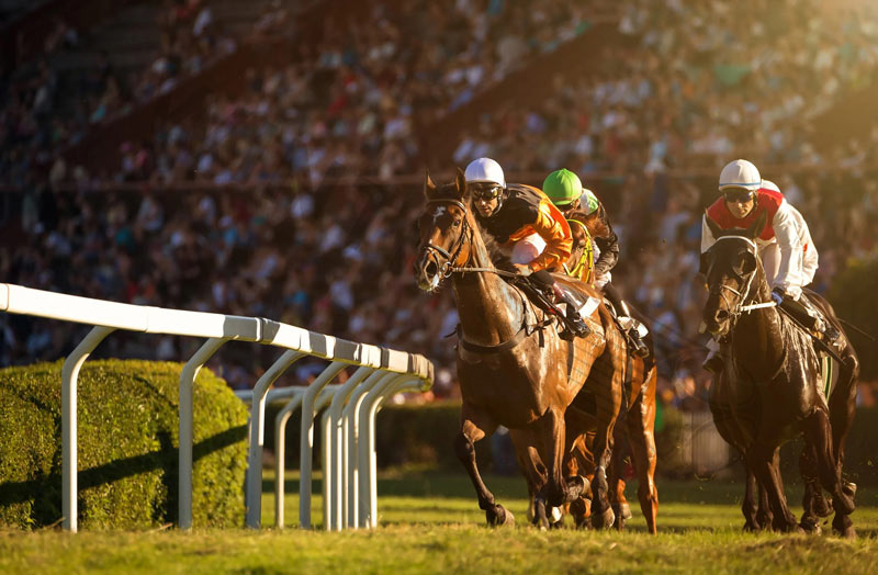 The rules of horse racing betting are simple