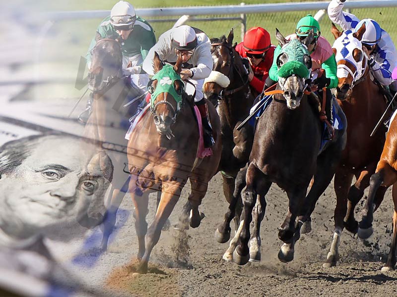 The best horse racing betting strategies