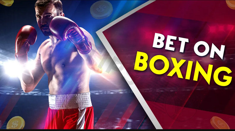 How to bet on boxing fights
