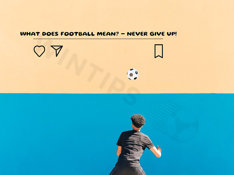 The funny football quotes from players ever