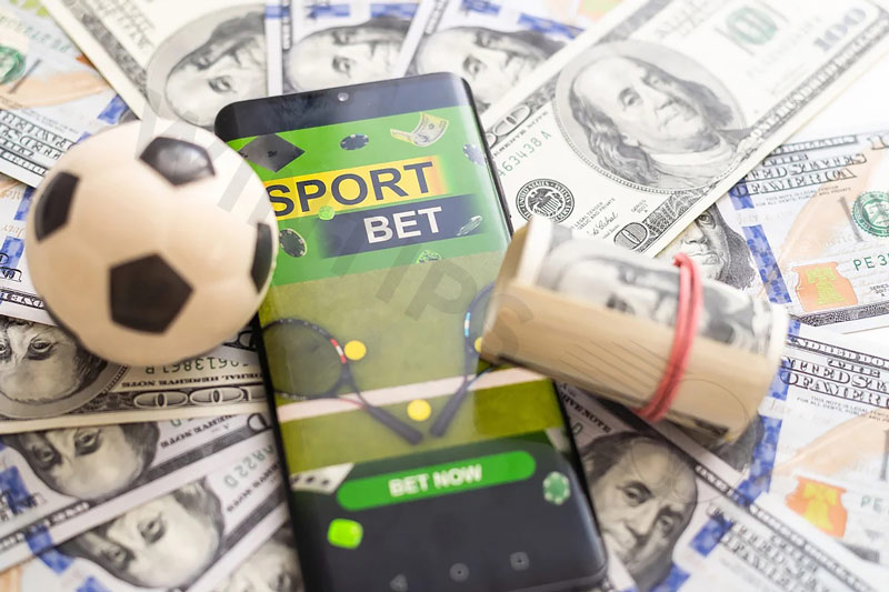 Compilation of the best sports bettors in the world