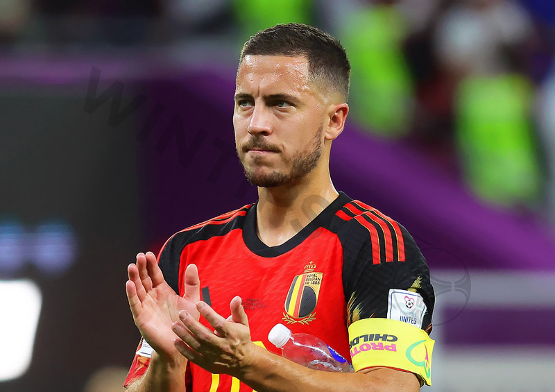 Best Belgian football players in history