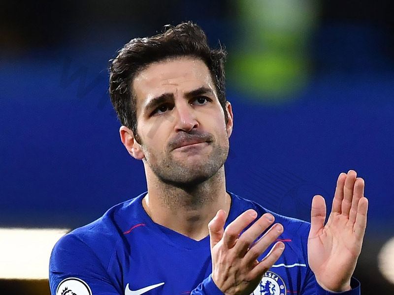 The excellence helped Cesc Fabregas achieve many noble titles